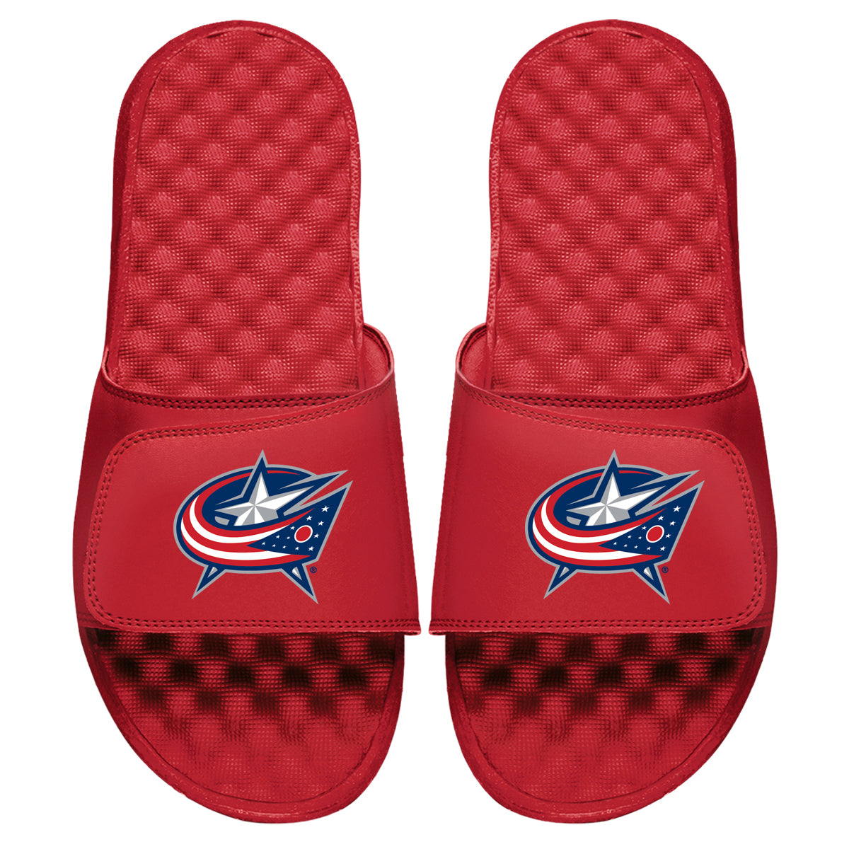 Columbus Blue Jackets Primary Slides