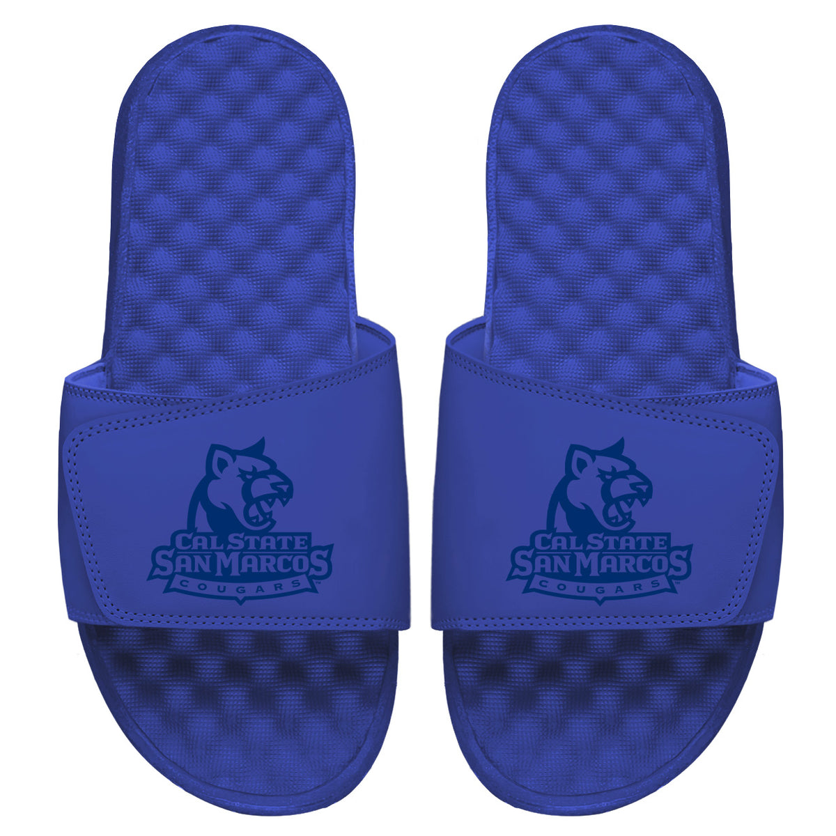 CSUSM Tonal Logo Slides