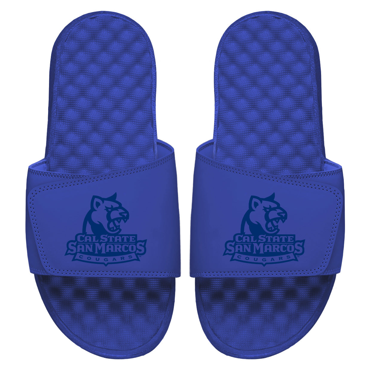 CSUSM Tonal Logo Slides