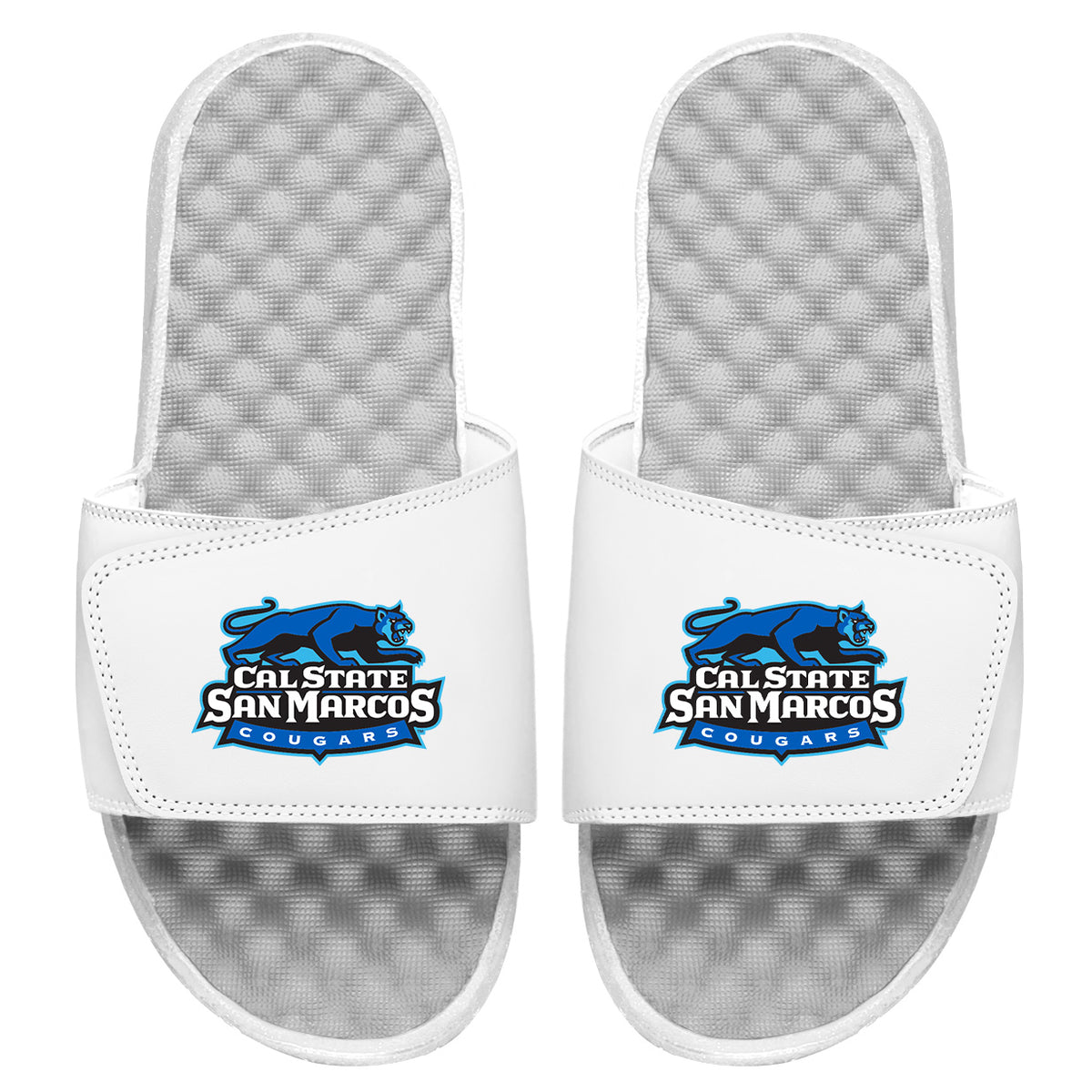 CSUSM Cougars Slides