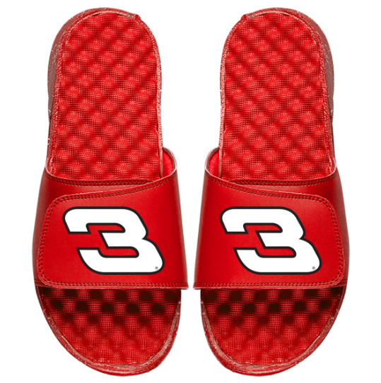 Dale Earnhardt Sr 3 Slides