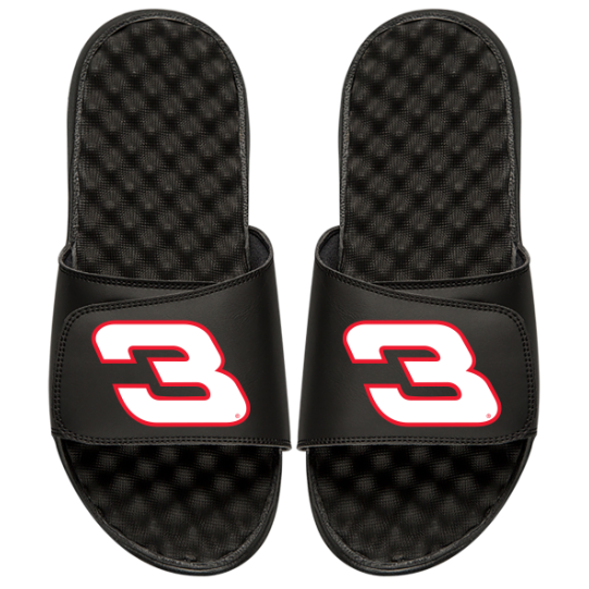 Dale Earnhardt Sr 3 Slides