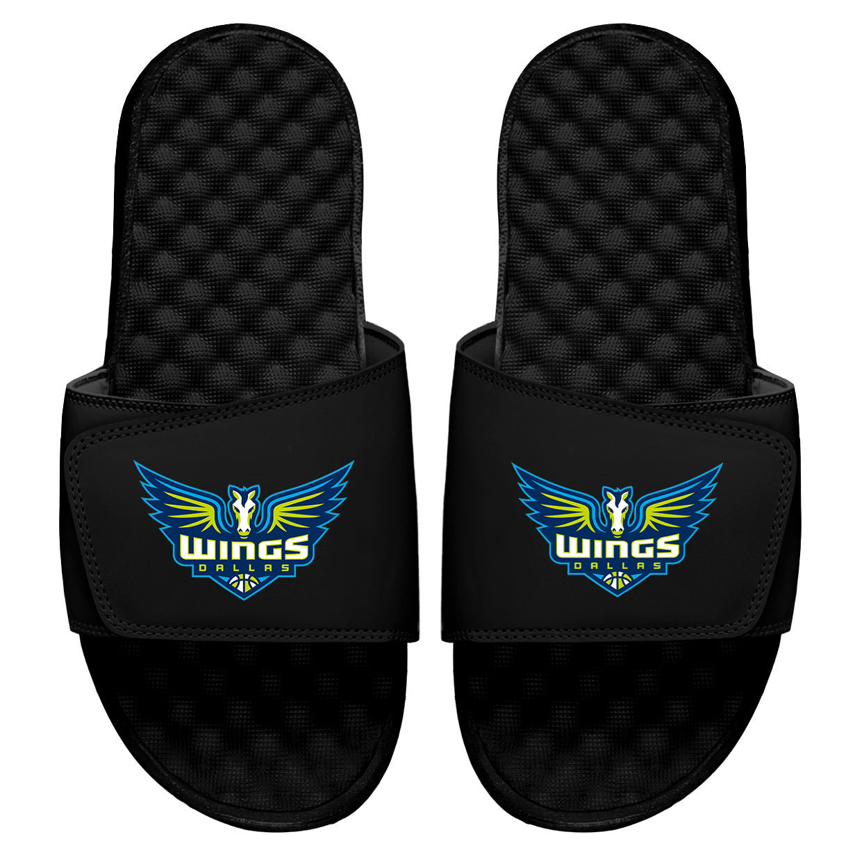 Dallas Wings Primary Logo Slides
