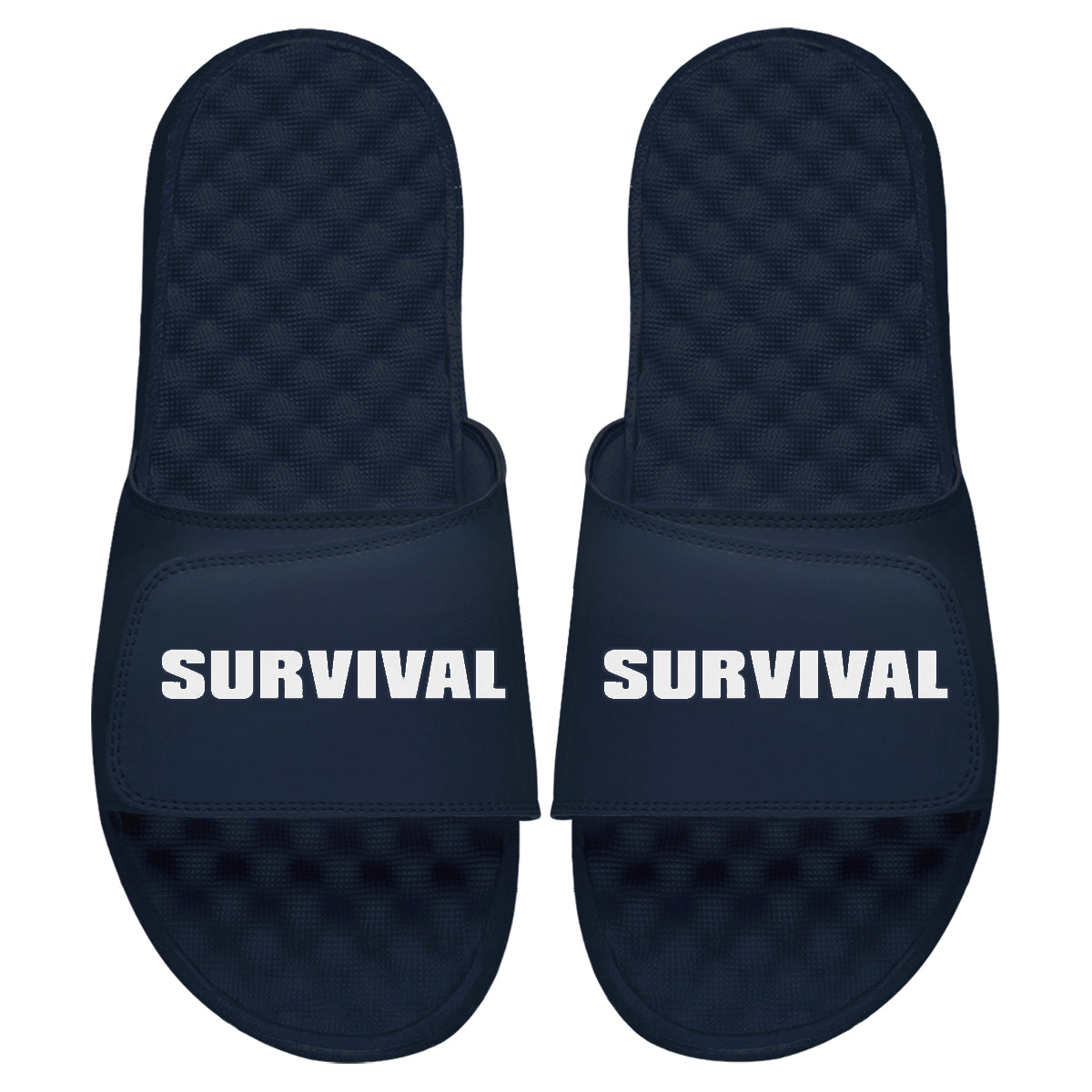 Dave East Survival Slides