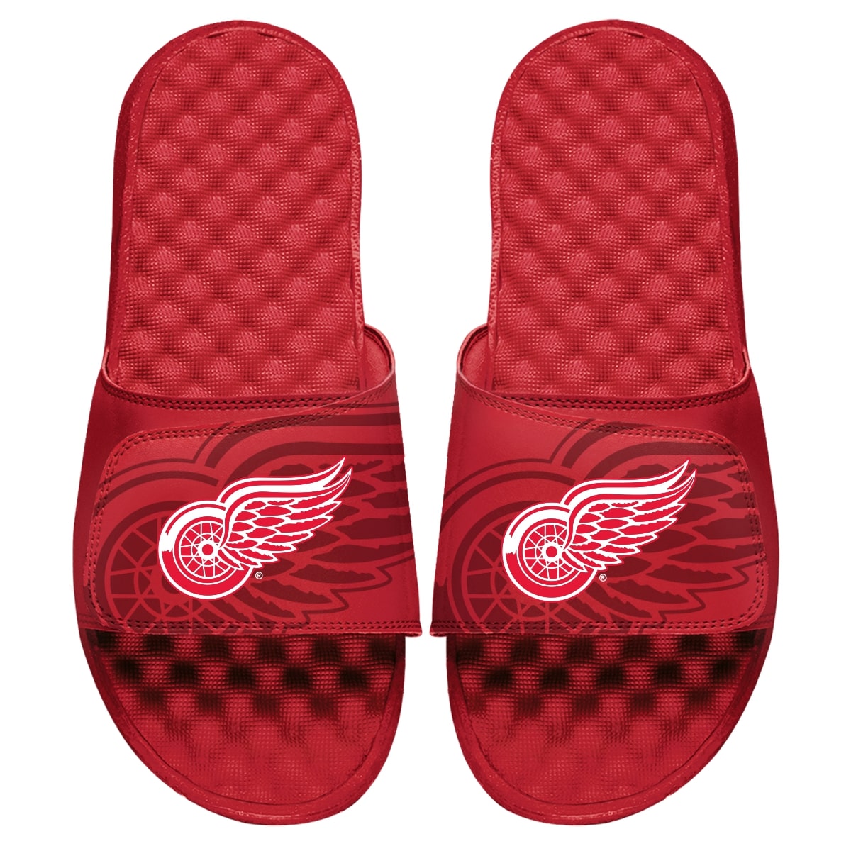 Detroit Red Wings OT Slides