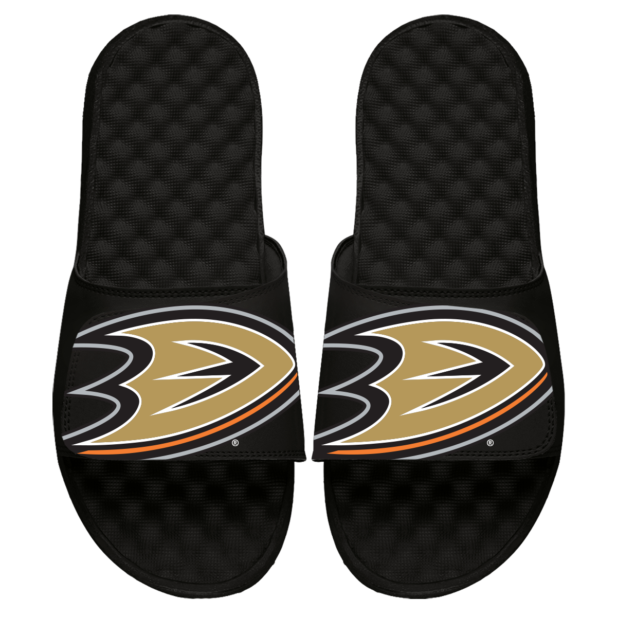 Anaheim Ducks Blown Up Slides