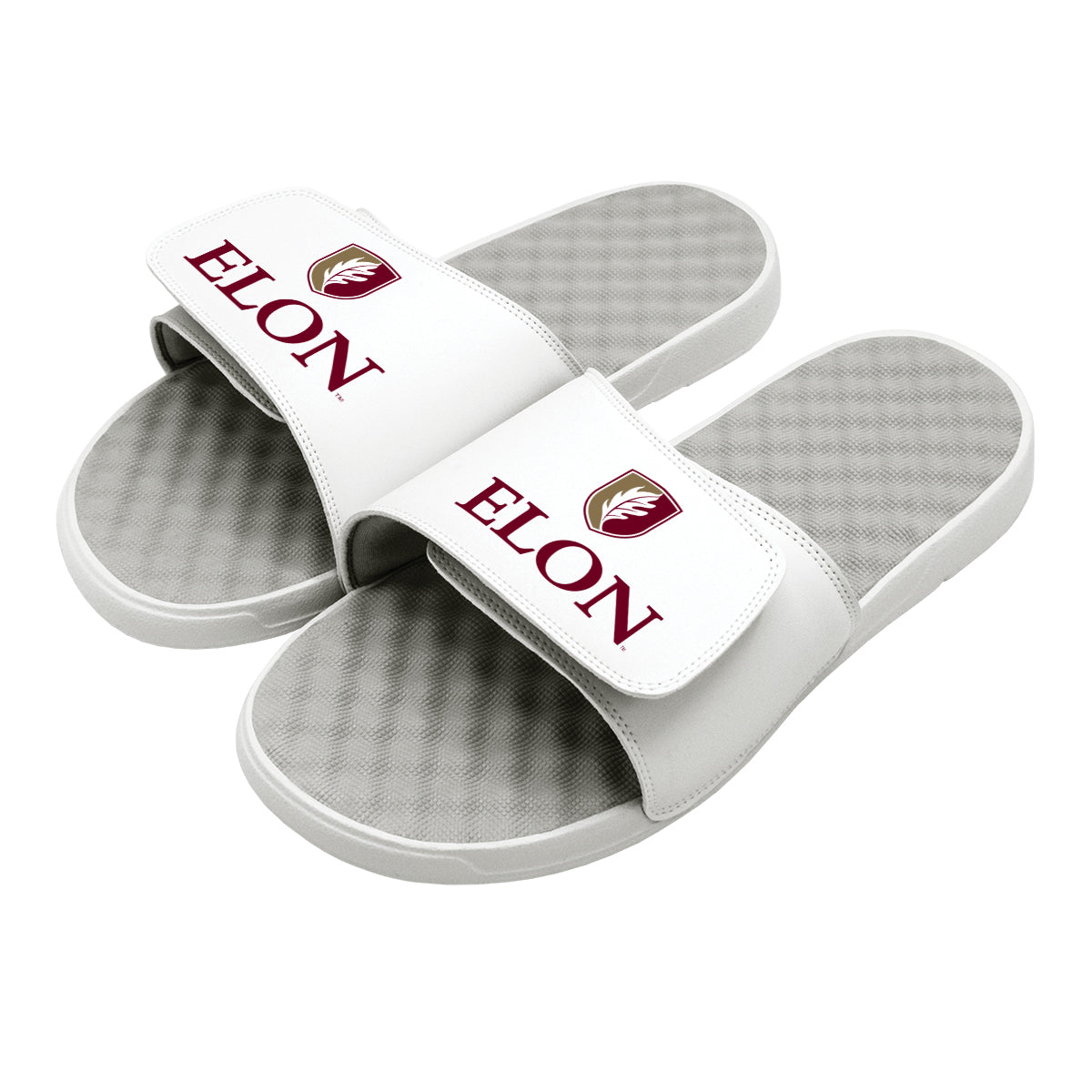 Elon Alternate Logo Slides