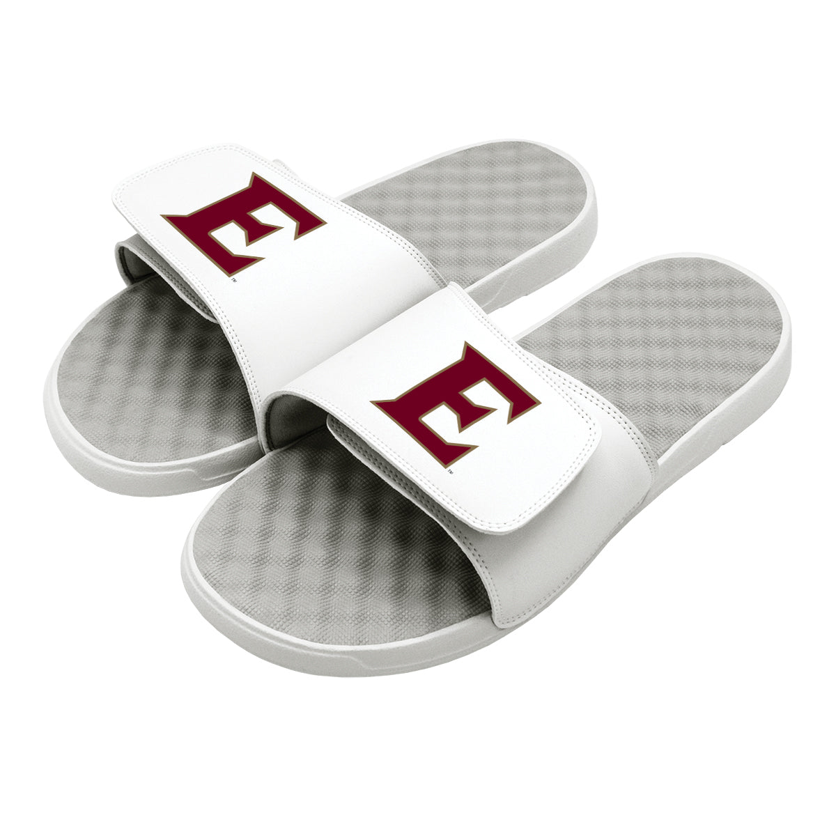 Elon Primary Logo Slides