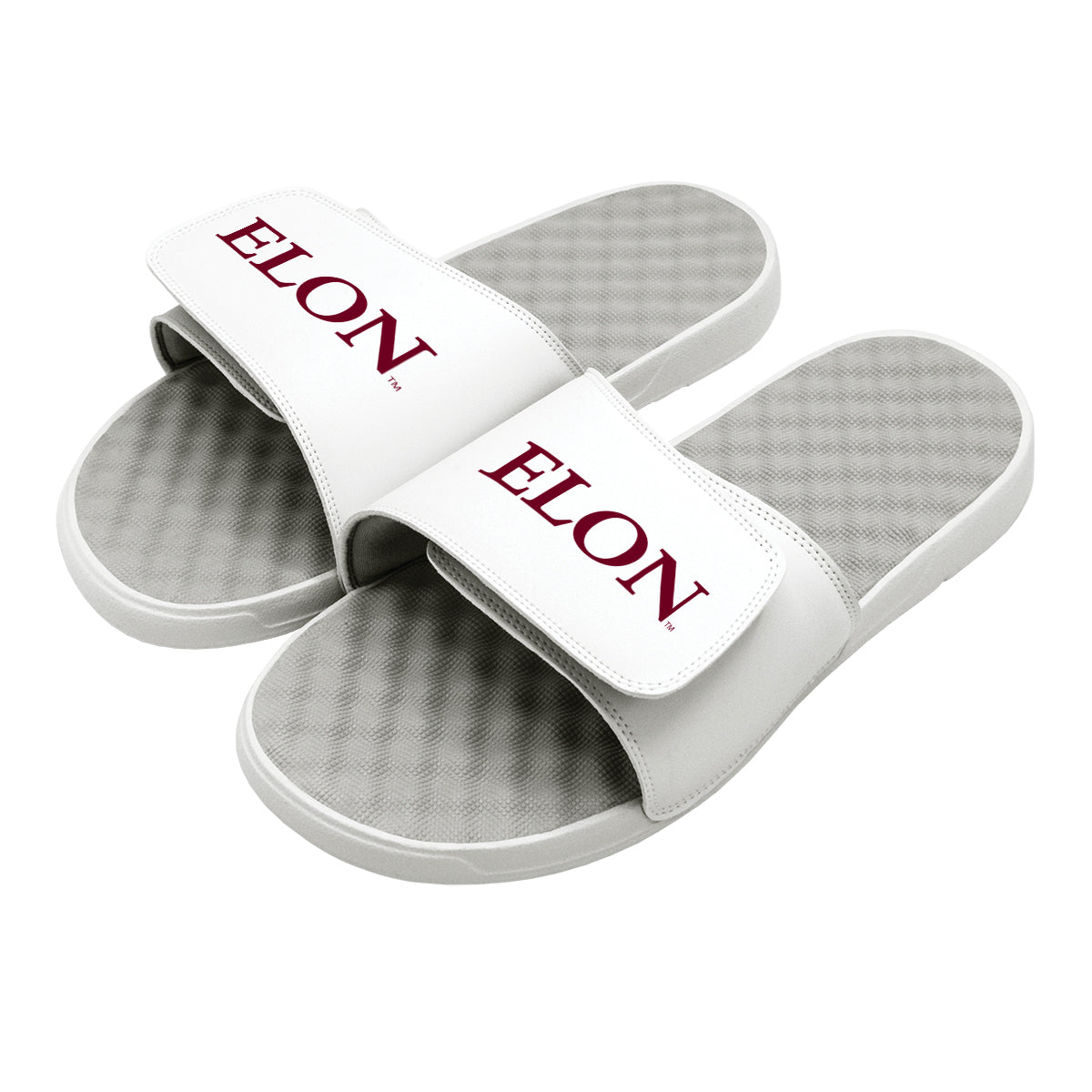 Elon Wordmark Slides