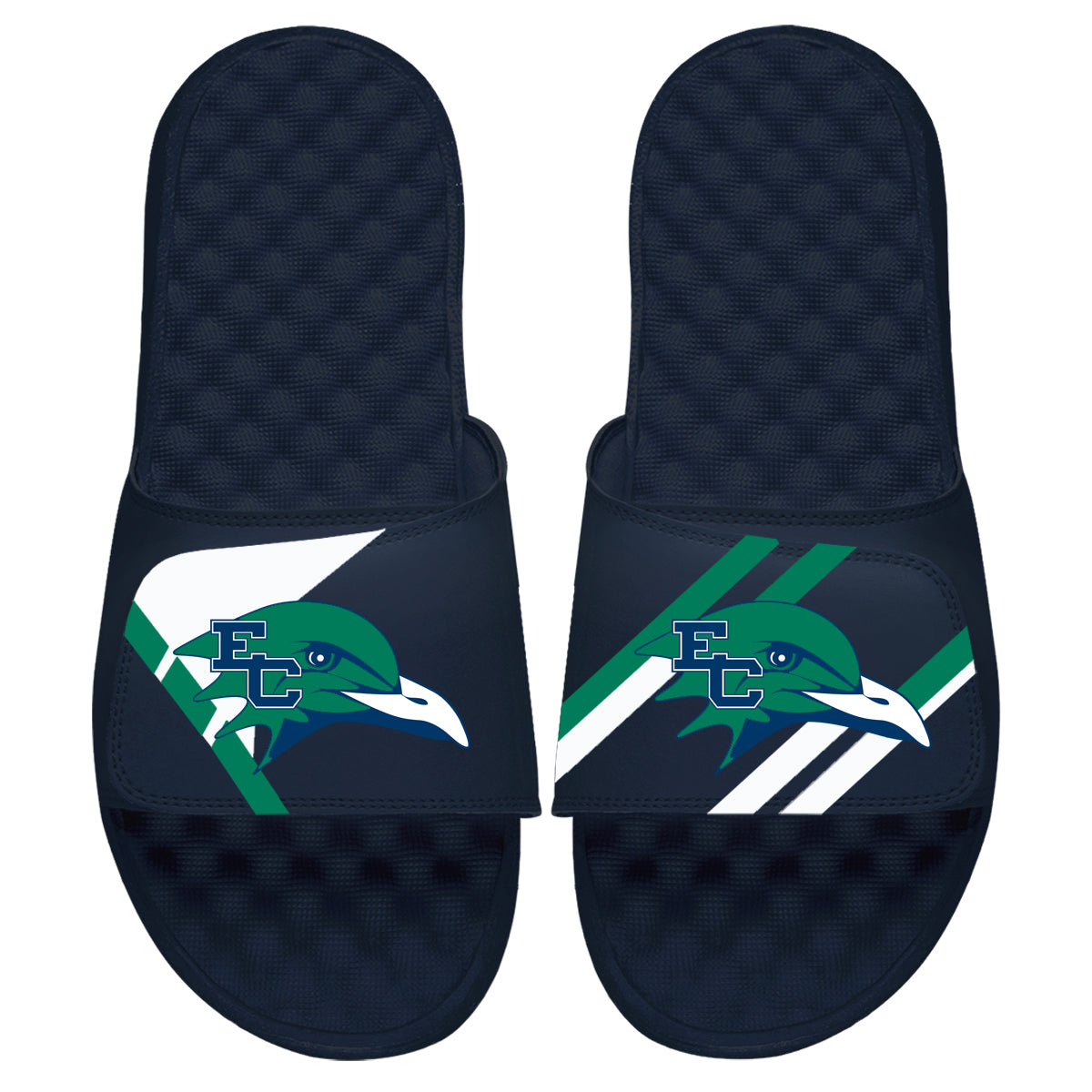 Gulls Varsity Slides