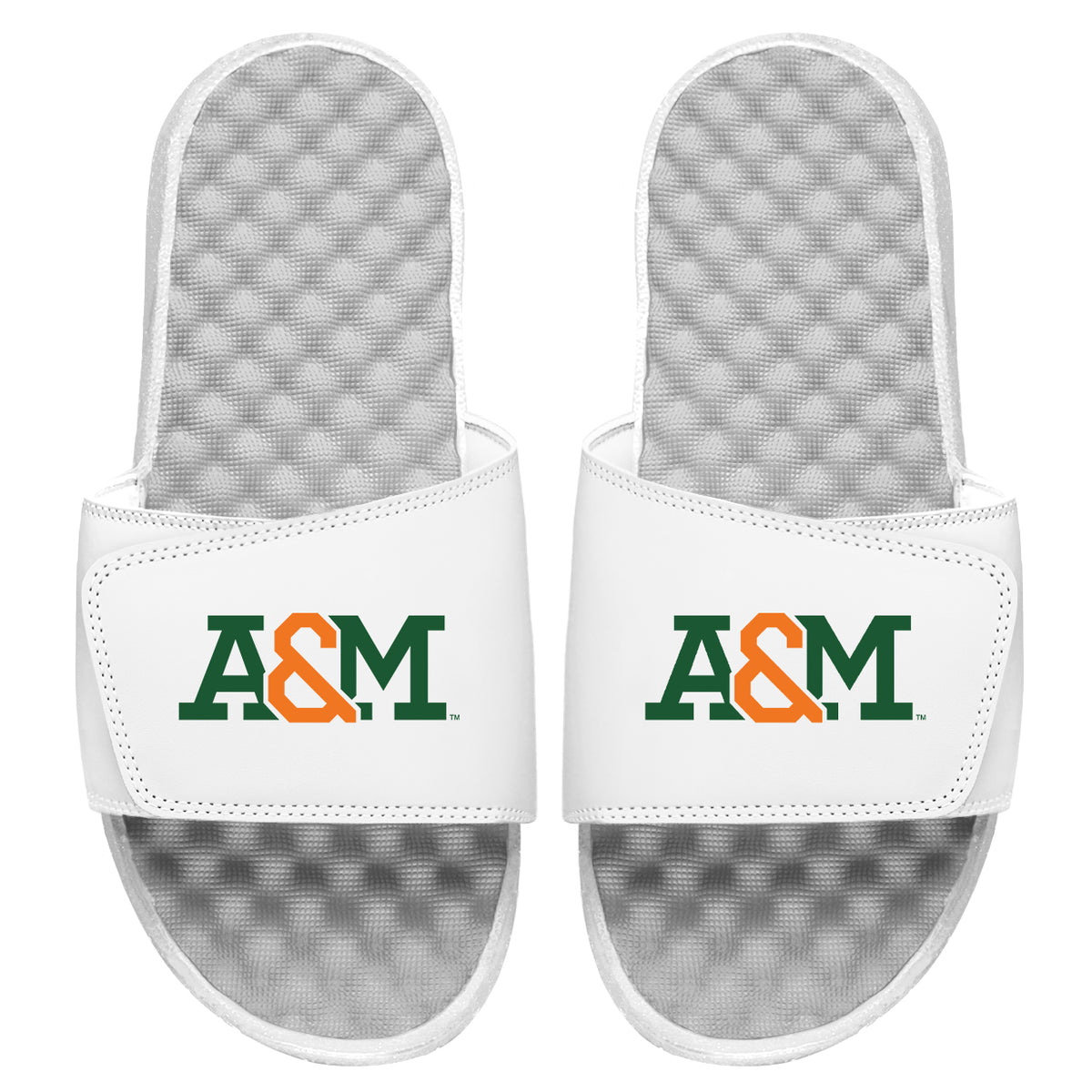 FAMU A&amp;M Wordmark Slides