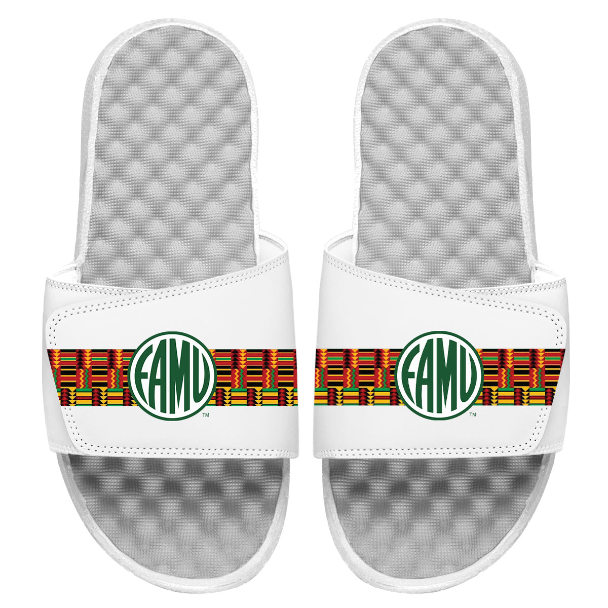 FAMU Circle Logo Stripes Slides