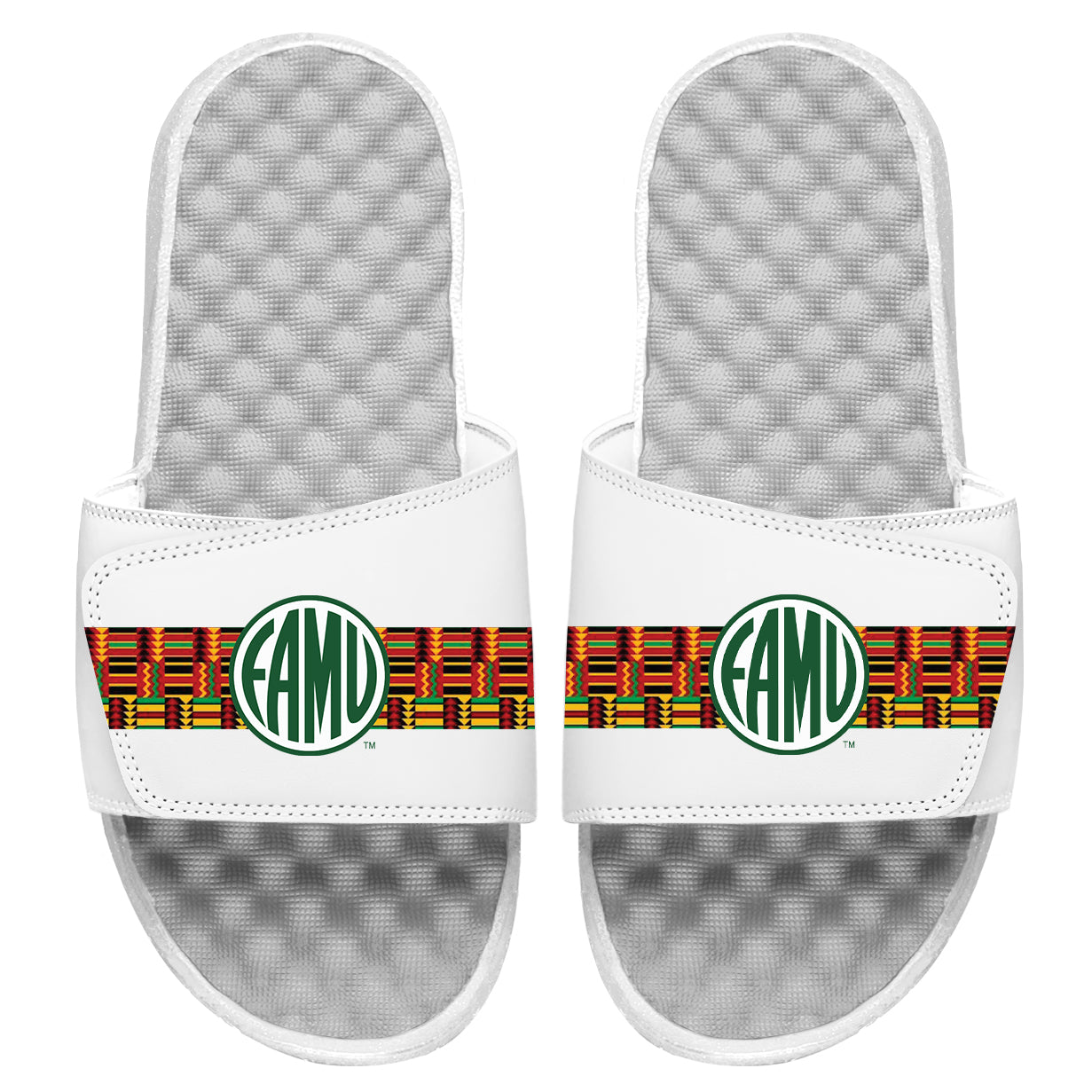 FAMU Circle Logo Stripes Slides