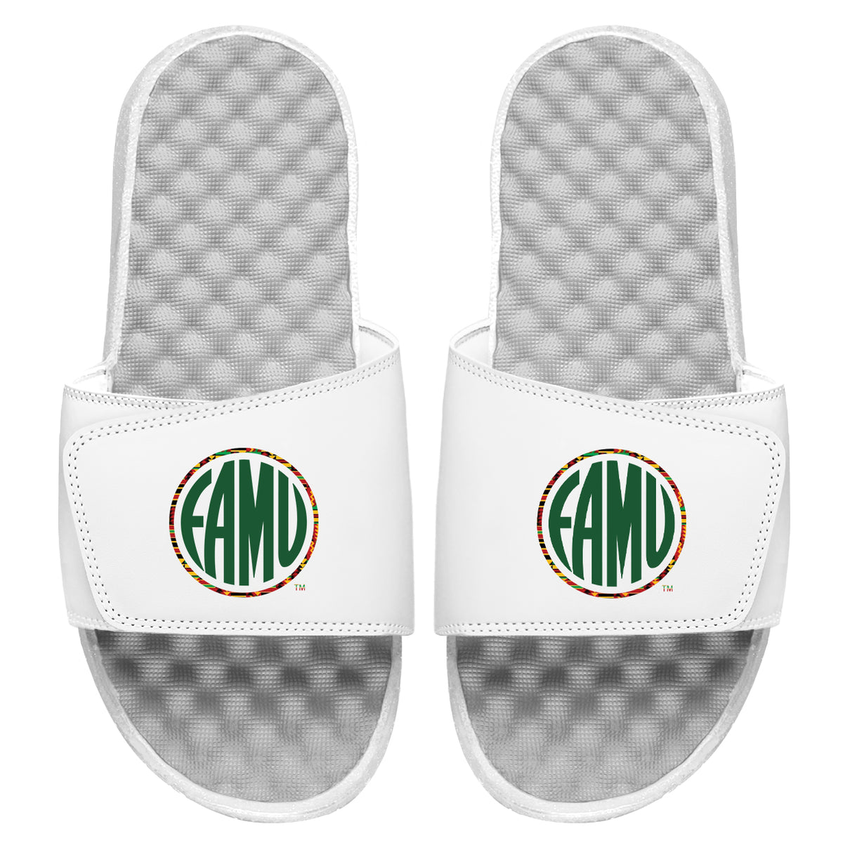 FAMU Circle Logo Slides
