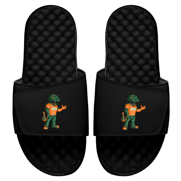 FAMU Mascot Slides - ISlide
