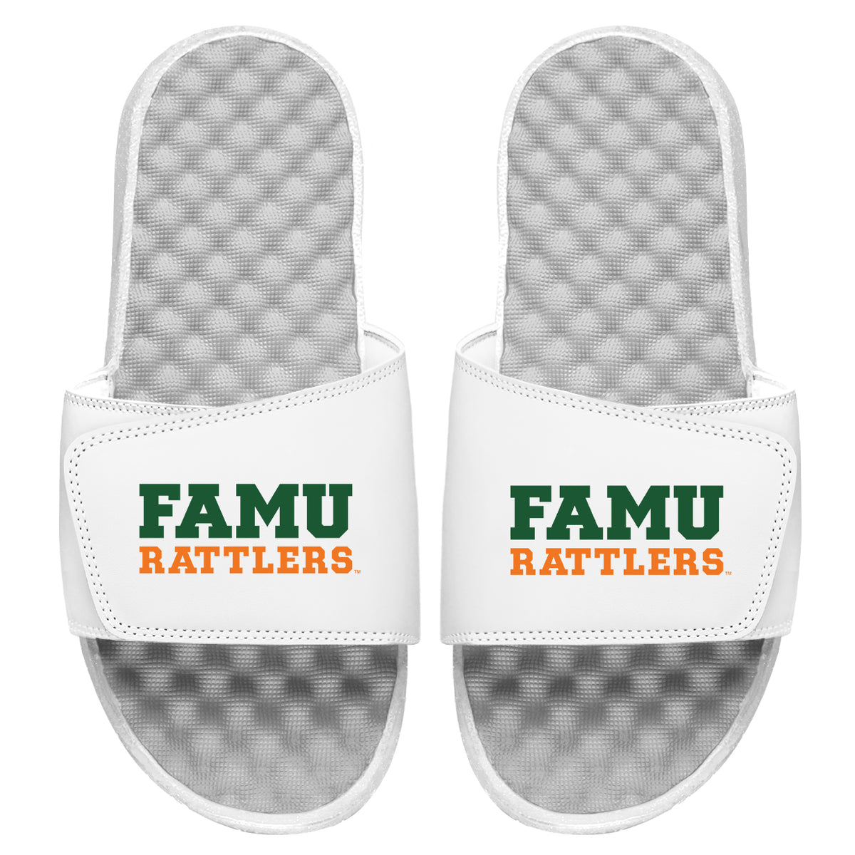 FAMU Rattlers Wordmark Slides