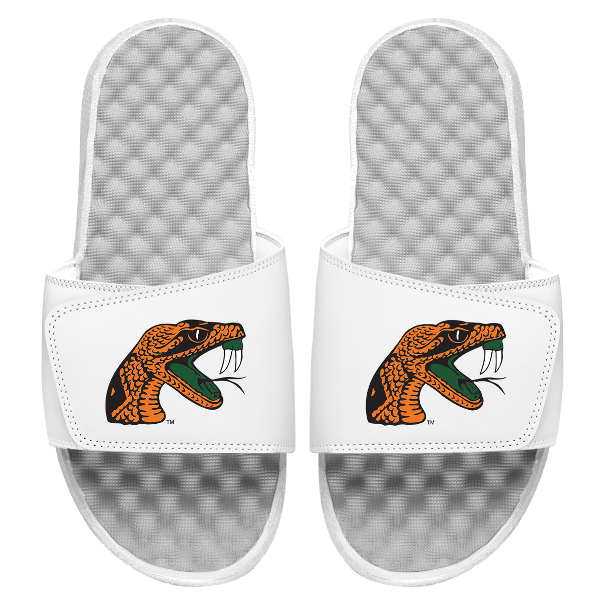 FAMU Snake Head Slides