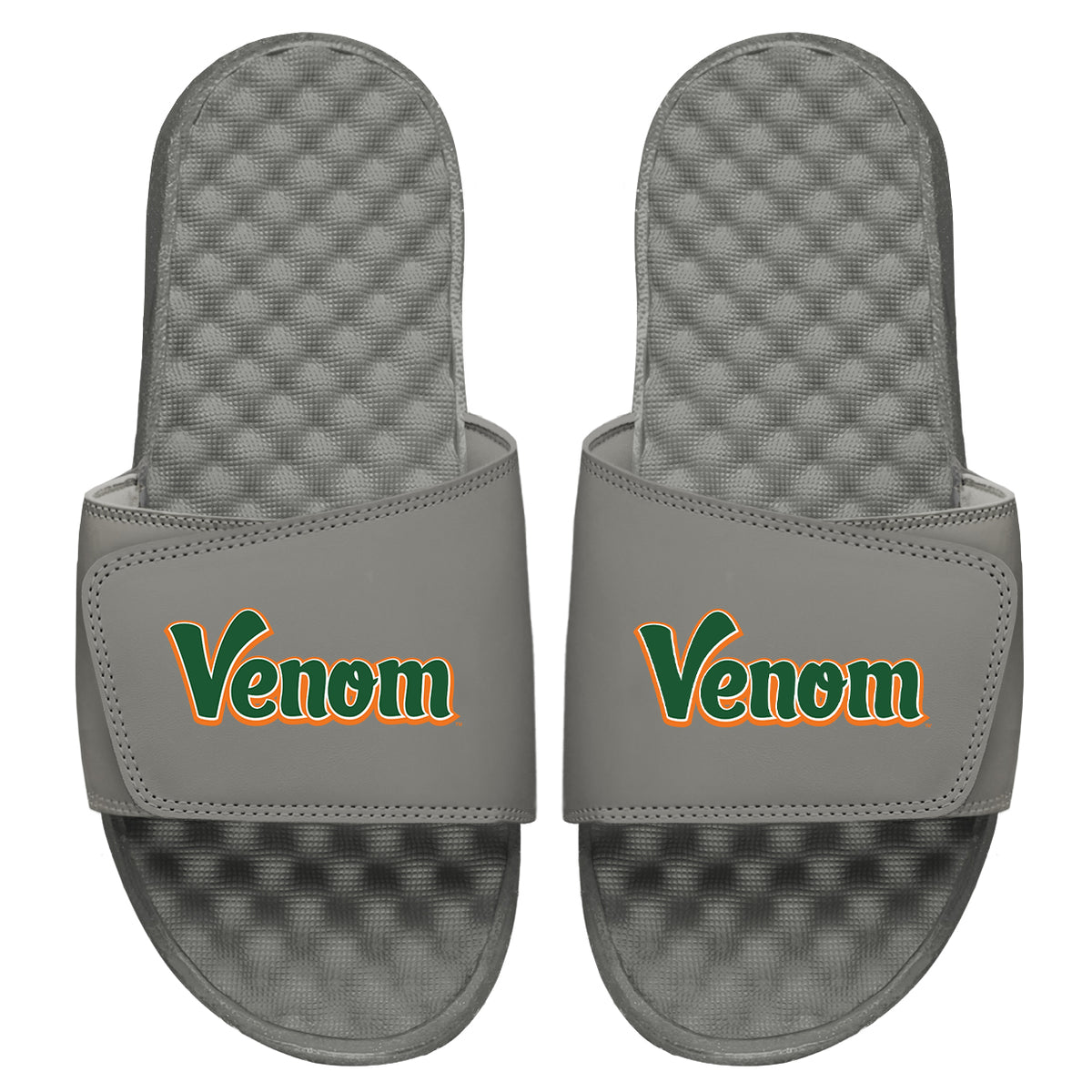 FAMU Venom Slides