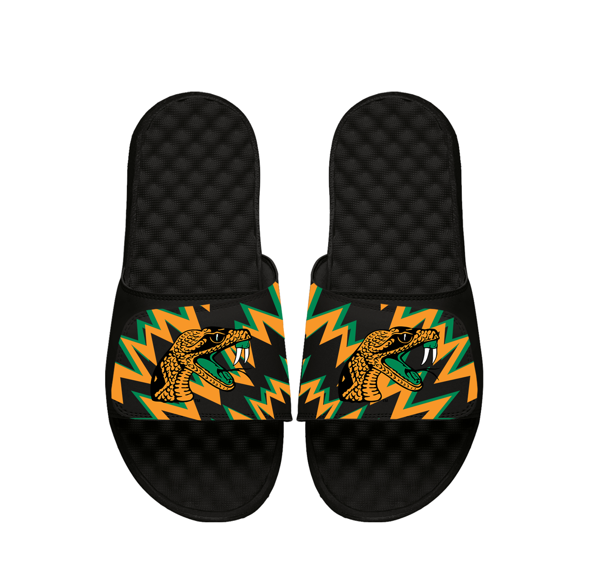 NCAA Florida A&amp;M High Energy Slides