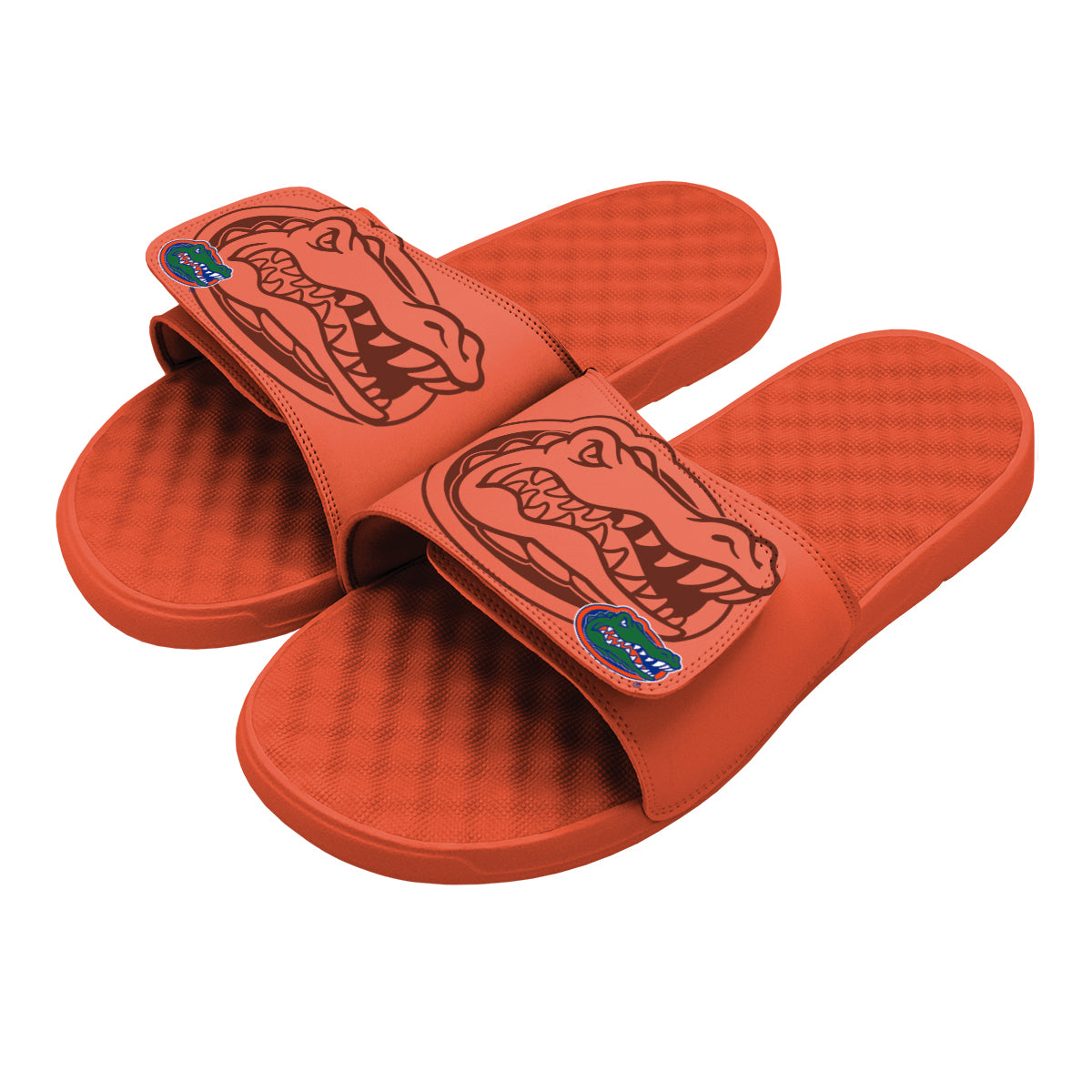 University of Florida Tonal Pop Slides