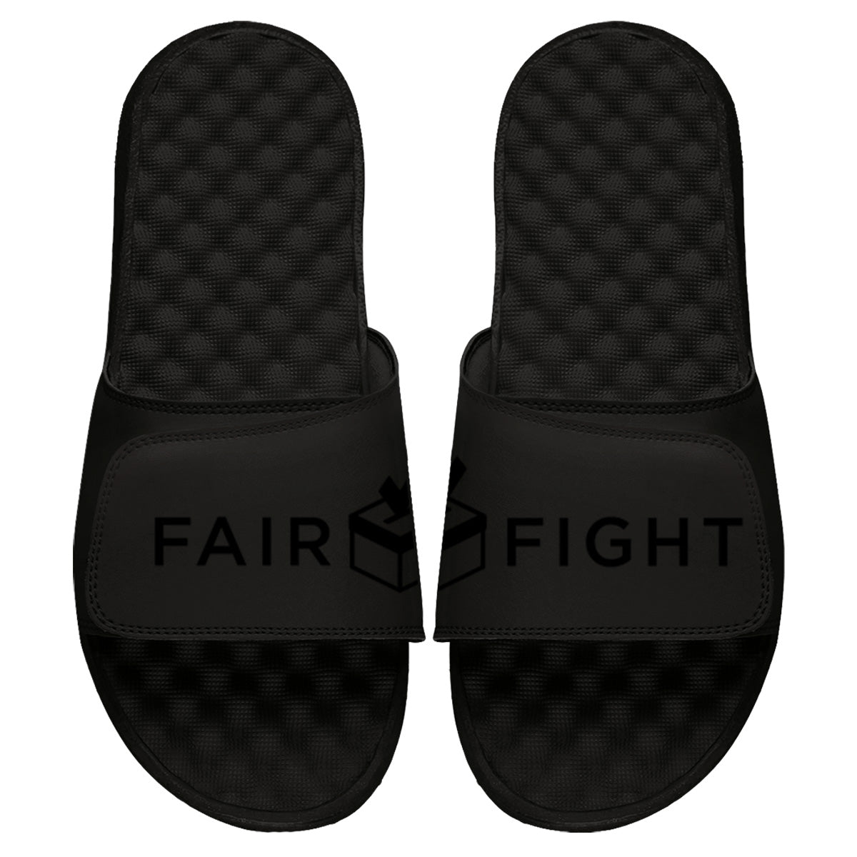 Fair Fight Slides