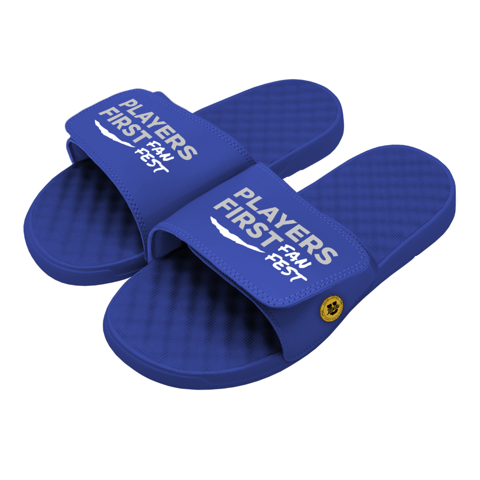 Players First Fan Fest Slides