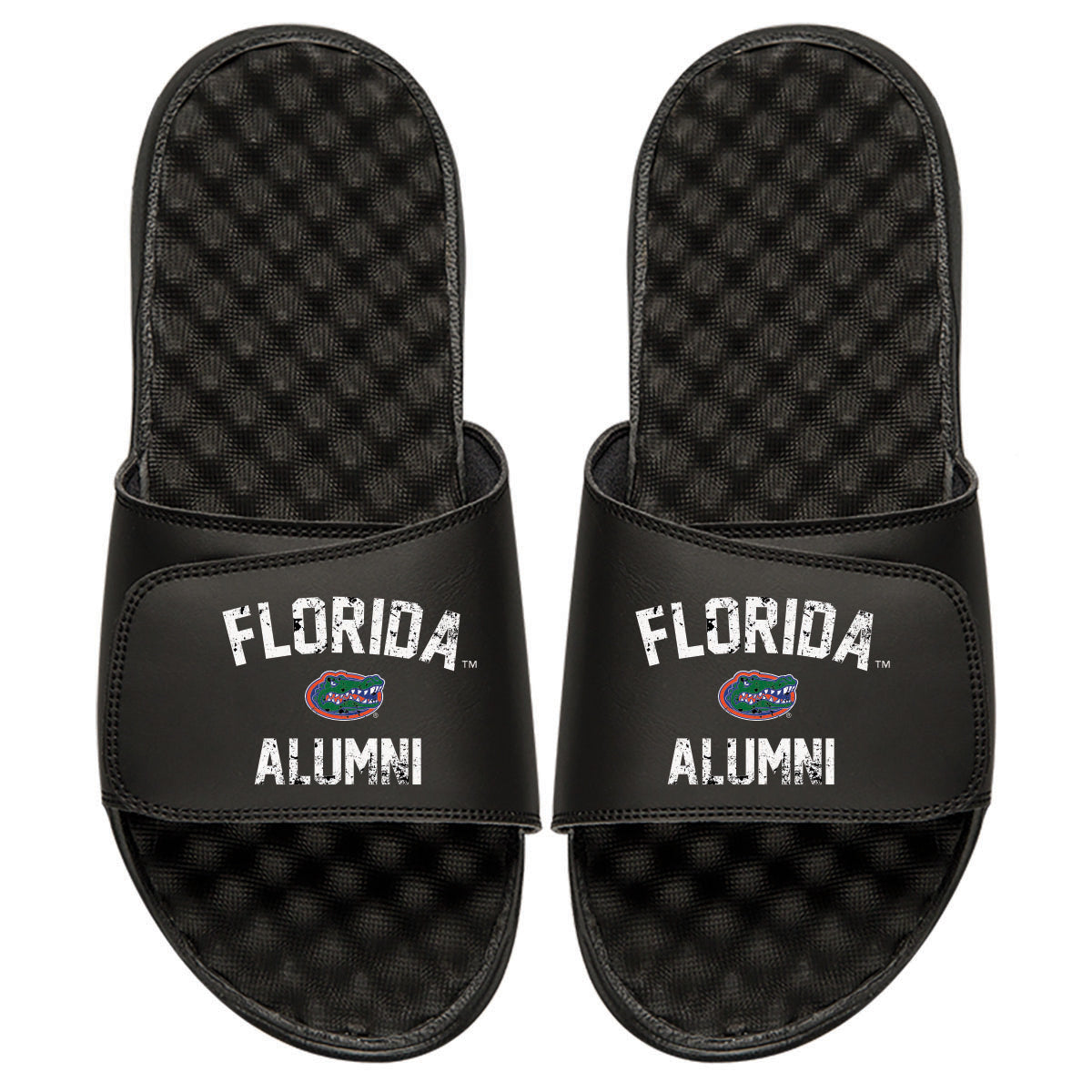 Florida Gators Alumni Slides