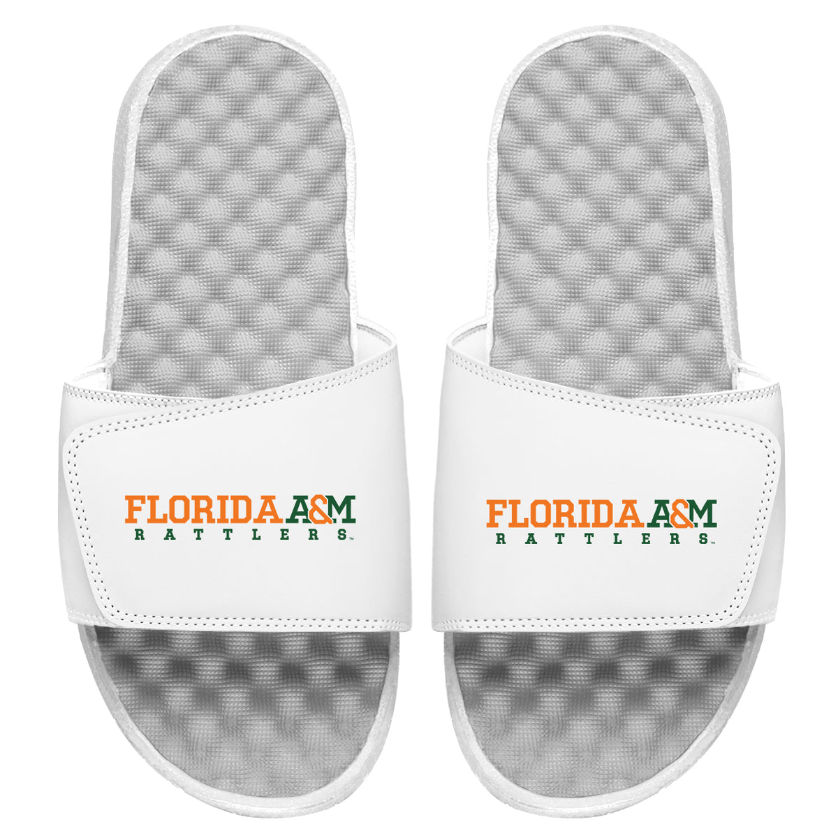 Florida A&amp;M Rattlers Wordmark Slides
