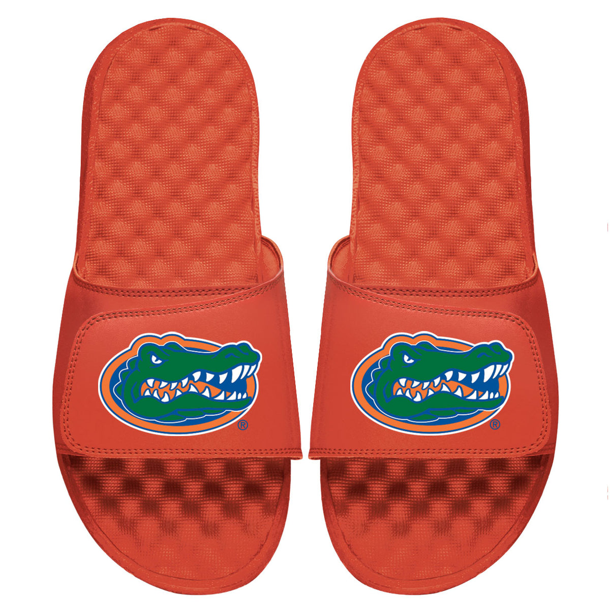 University of Florida Primary Slides