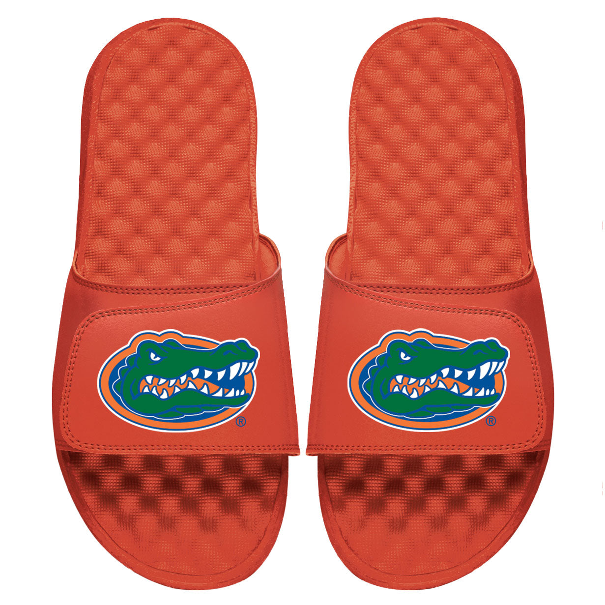 University of Florida Primary Slides