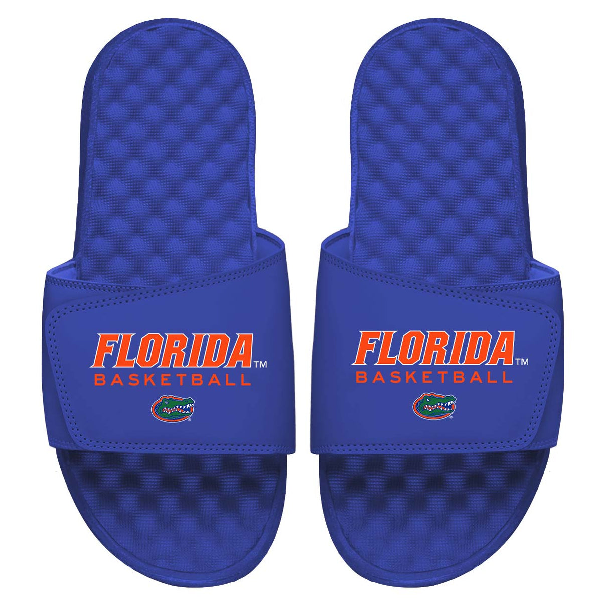 Florida Basketball Wordmark Slides