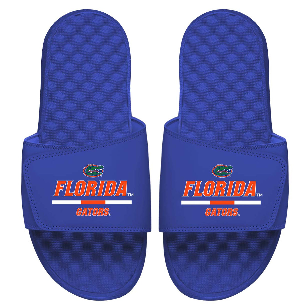Florida Split Bar Slides