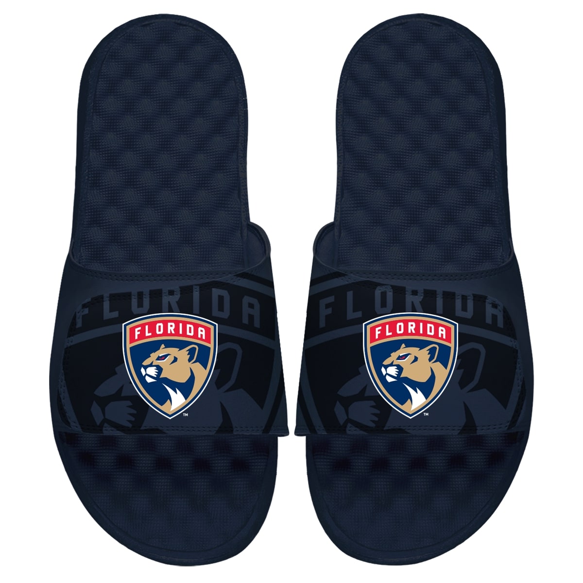 Florida Panthers OT Slides