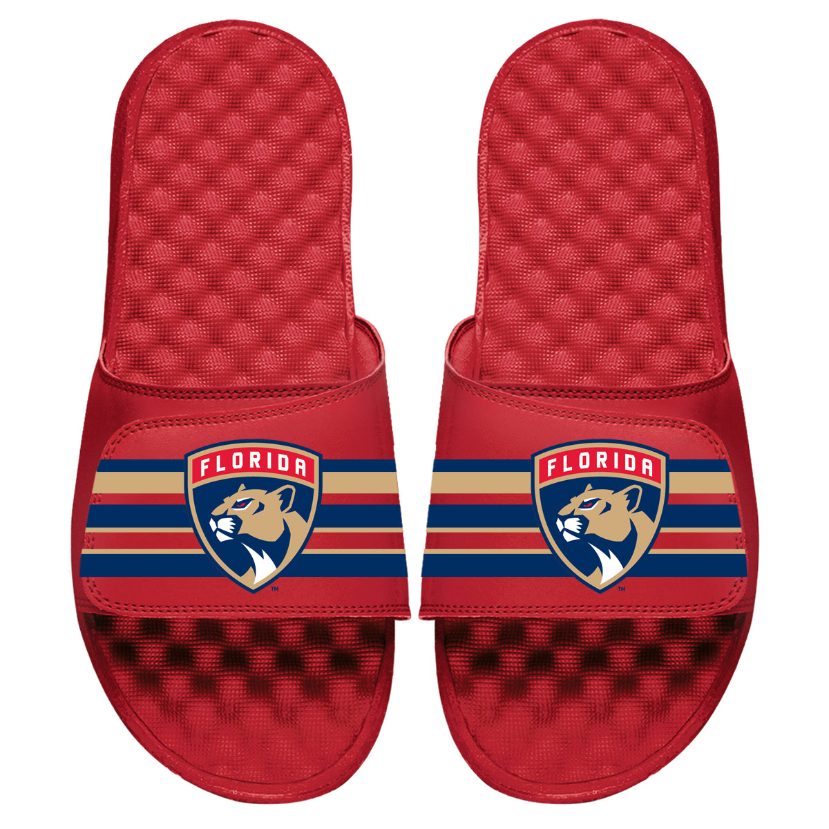 Florida Panthers Stripes Slides