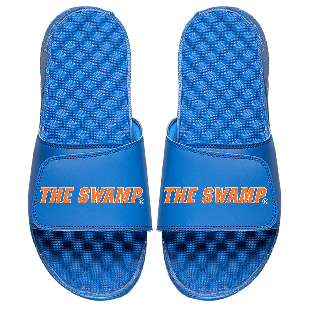 The Swamp - ISlide