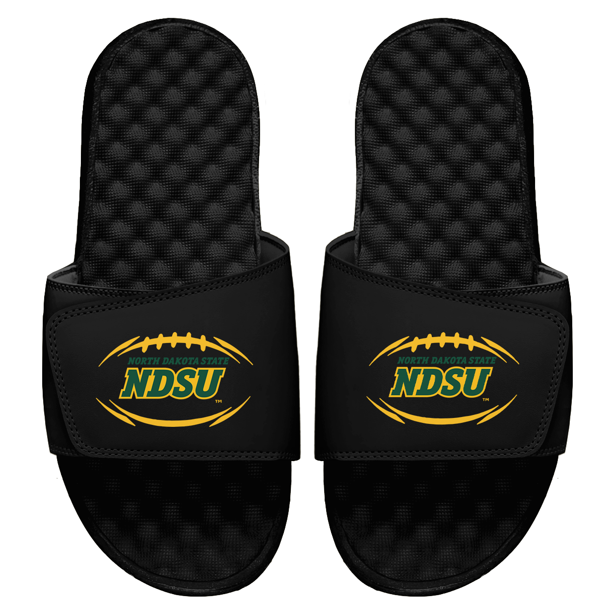 NDSU Football Logo Slides