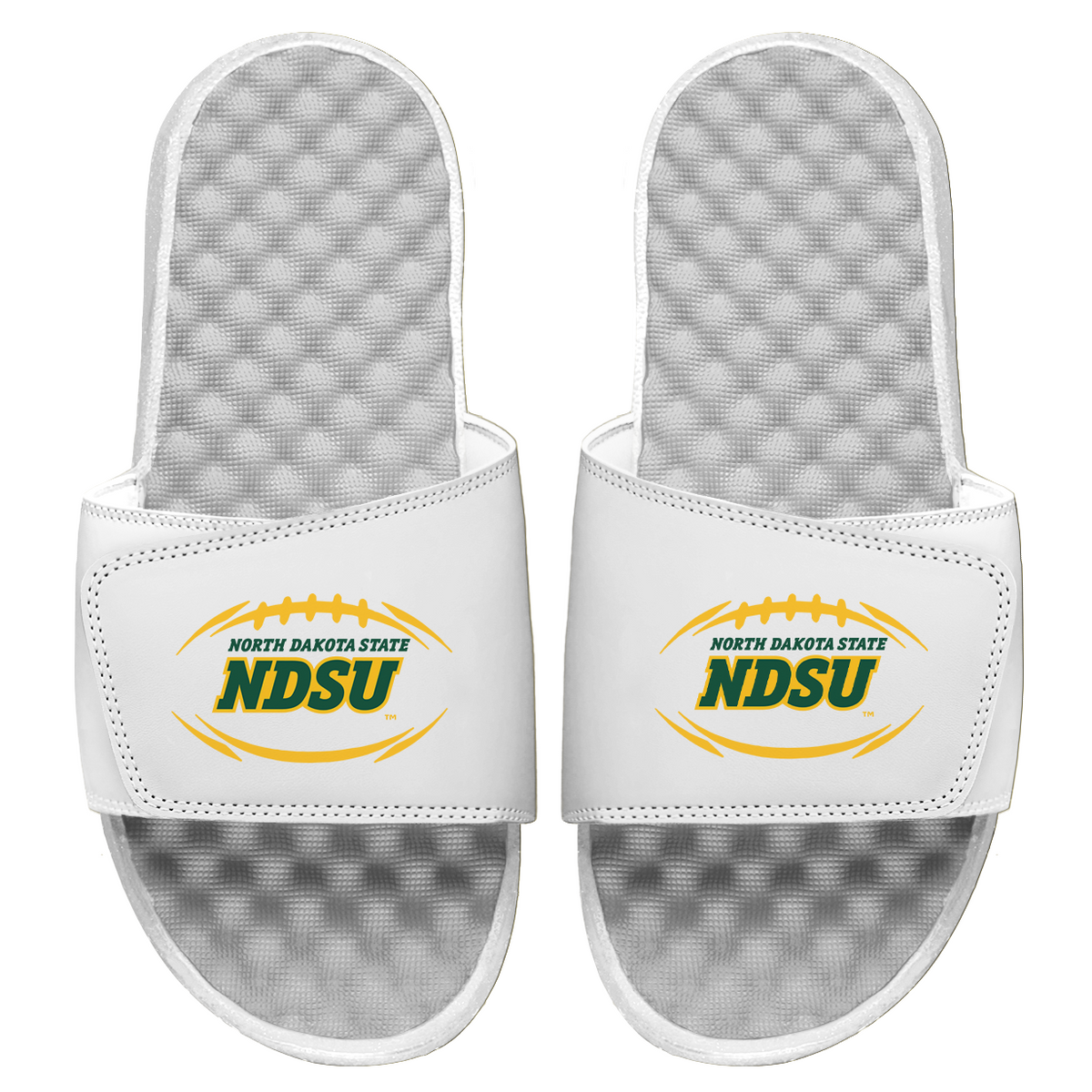 NDSU Football Logo Slides - ISlide