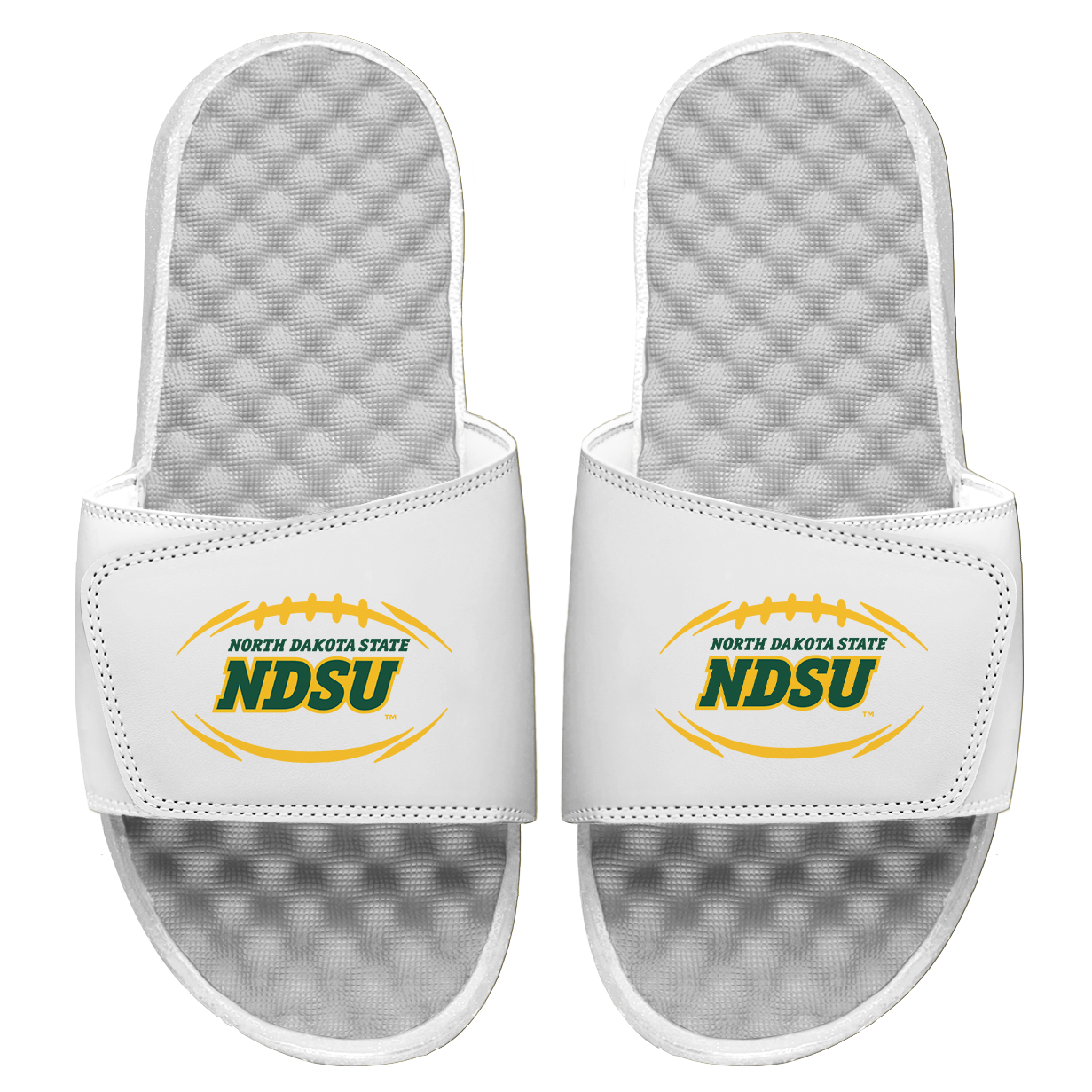 NDSU Football Logo Slides