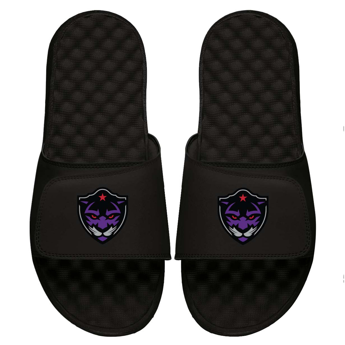 Fort Worth Panthers Slides