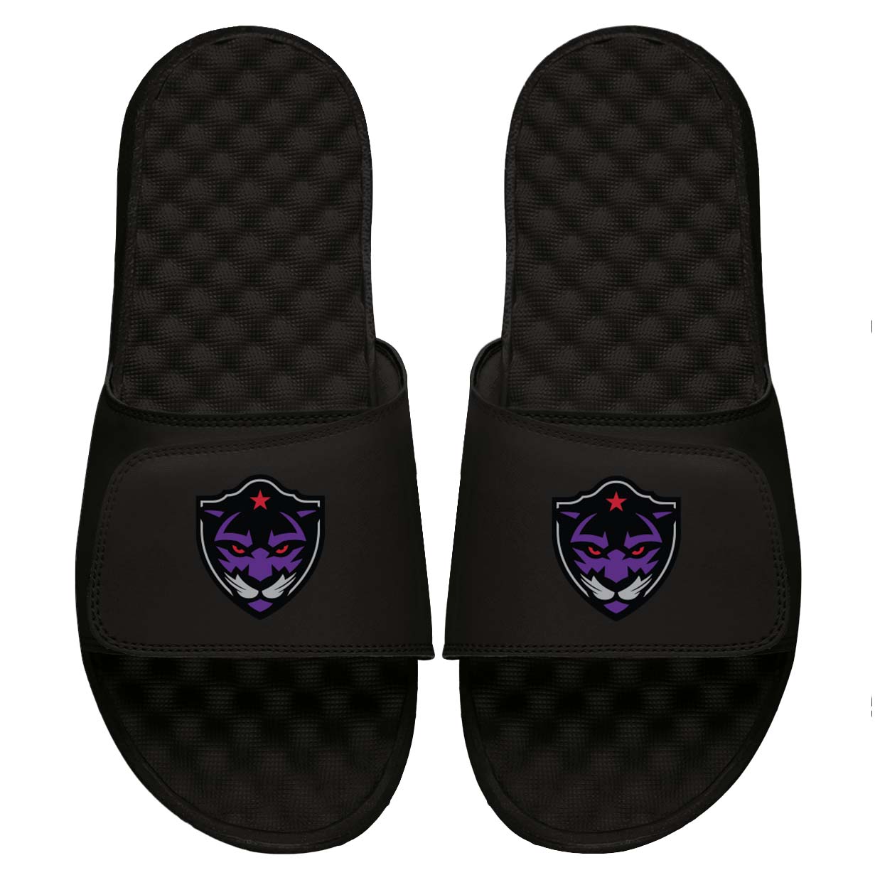 Fort Worth Panthers Slides