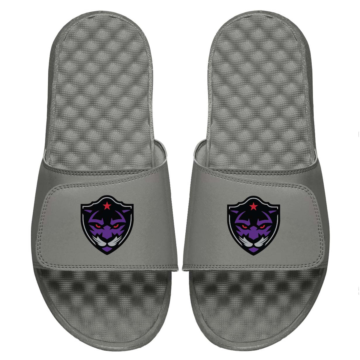 Fort Worth Panthers Slides