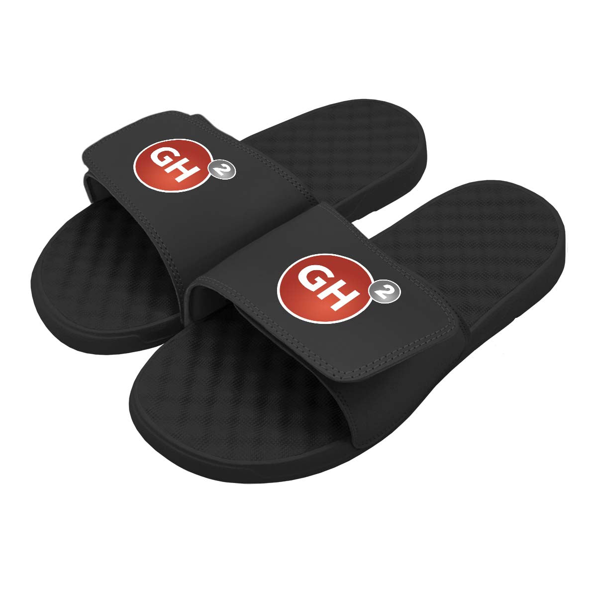 GH2 Fitness Circle Logo Slides