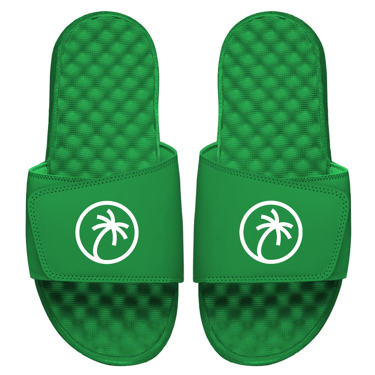Toehold Palm Logo Green Slides
