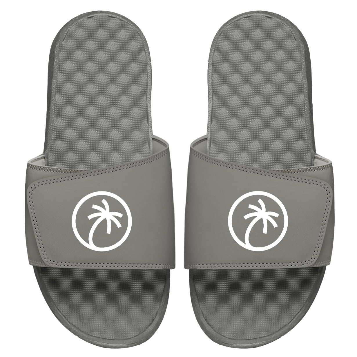 Toehold Palm Logo Grey Slides
