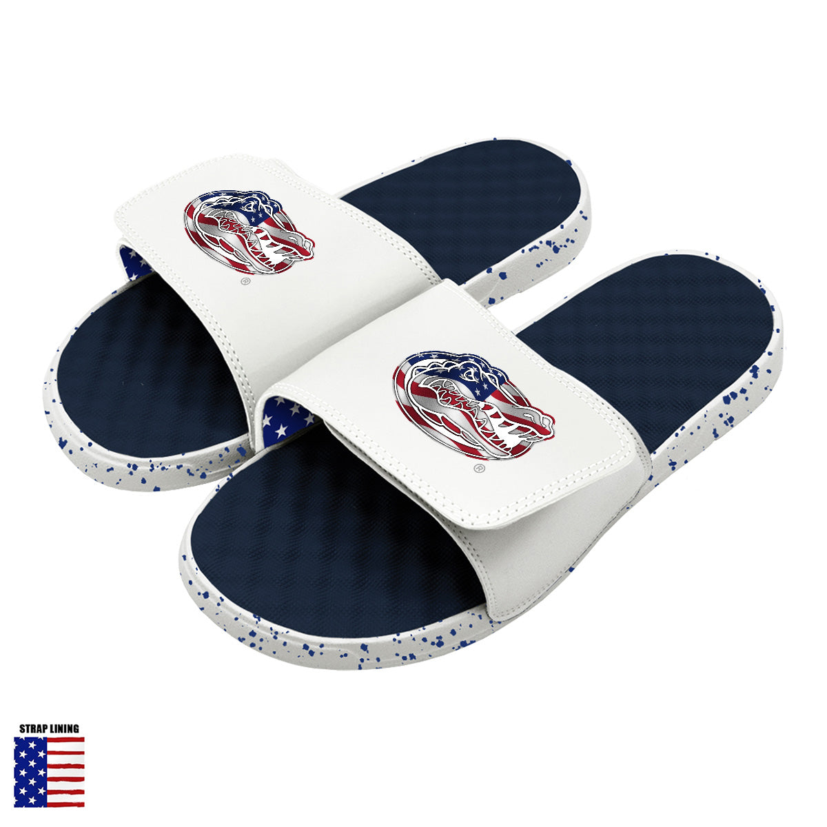 Florida Flag Americana Slides