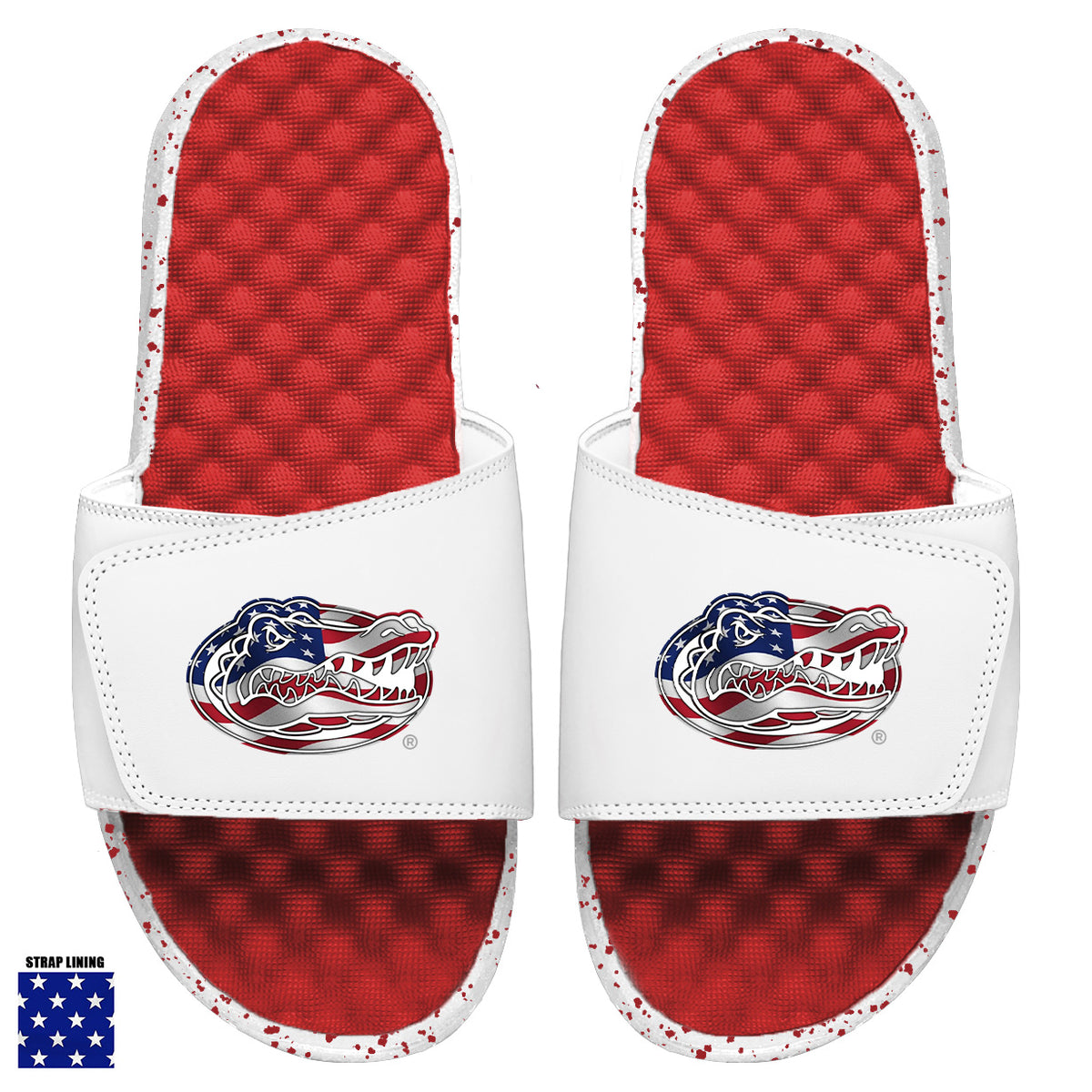 Florida Flag Americana Slides