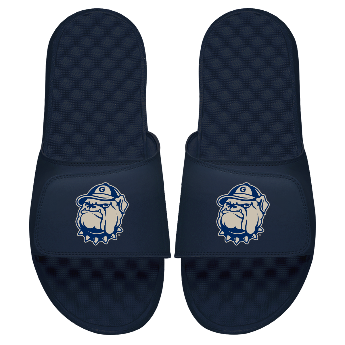 Georgetown Mascot Slides