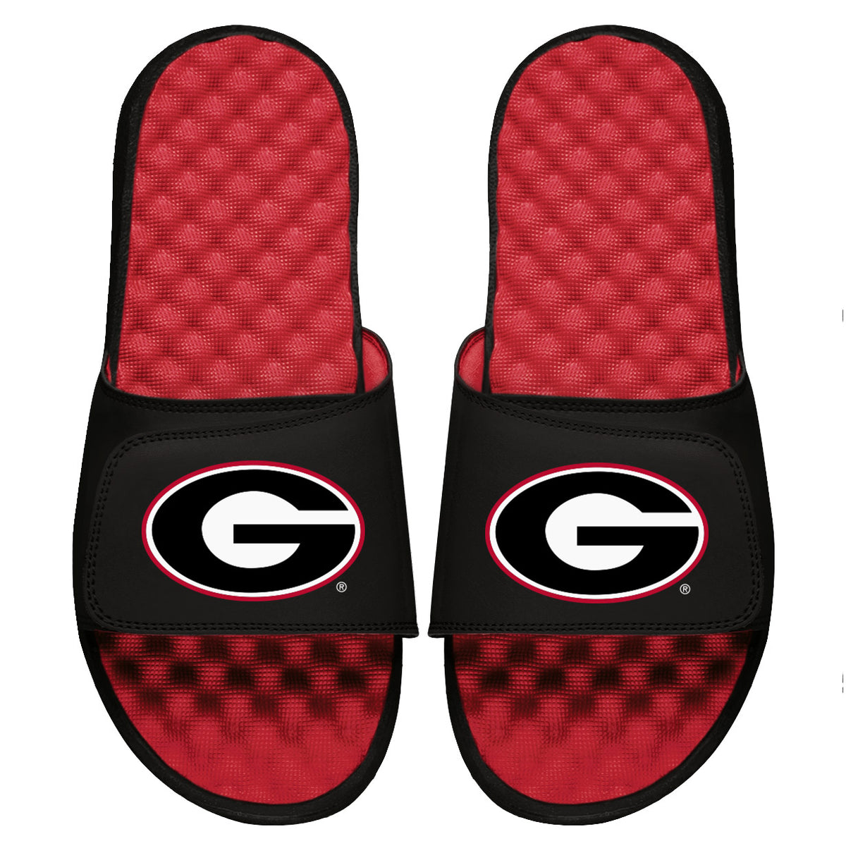 Georgia Primary Slides