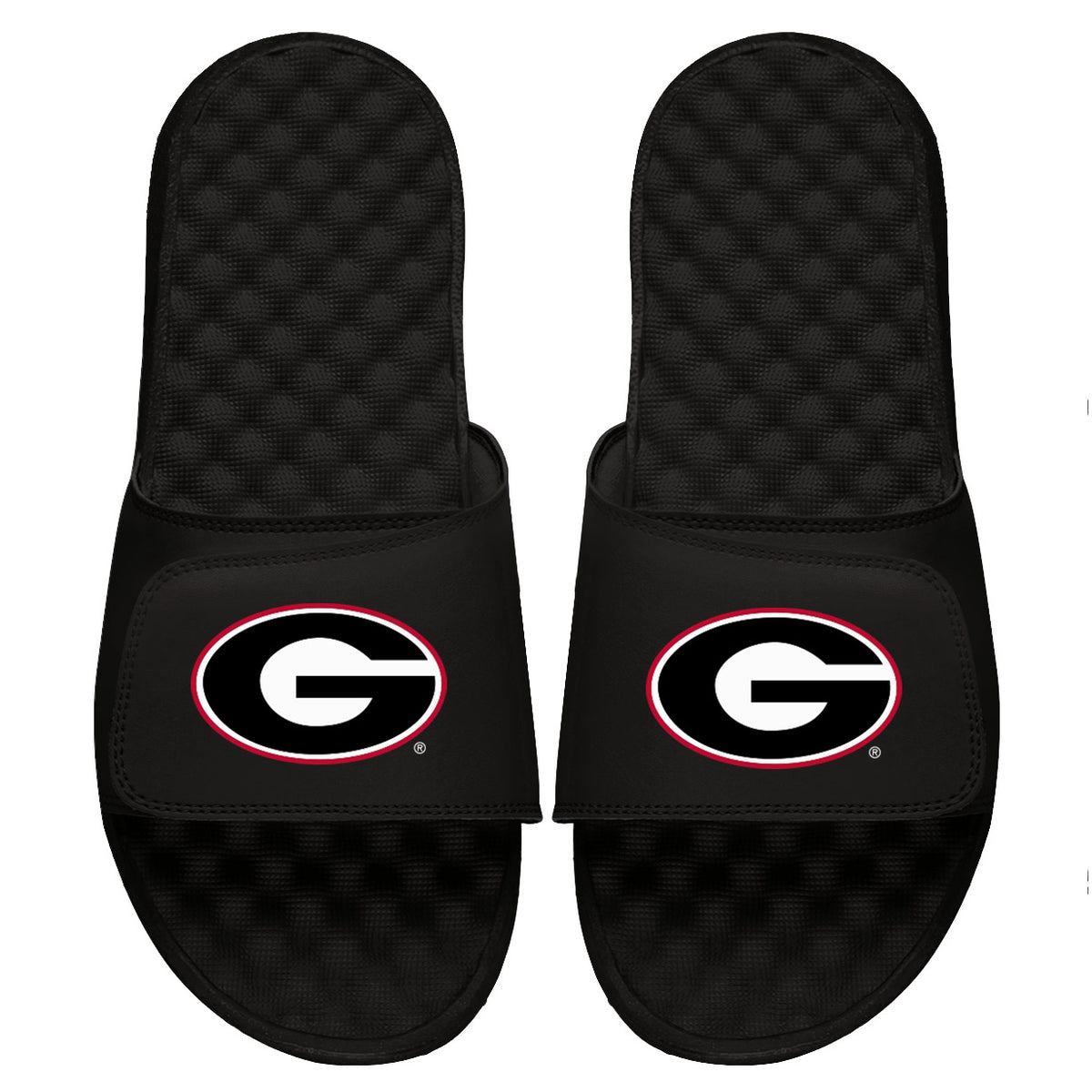 Georgia Primary Slides