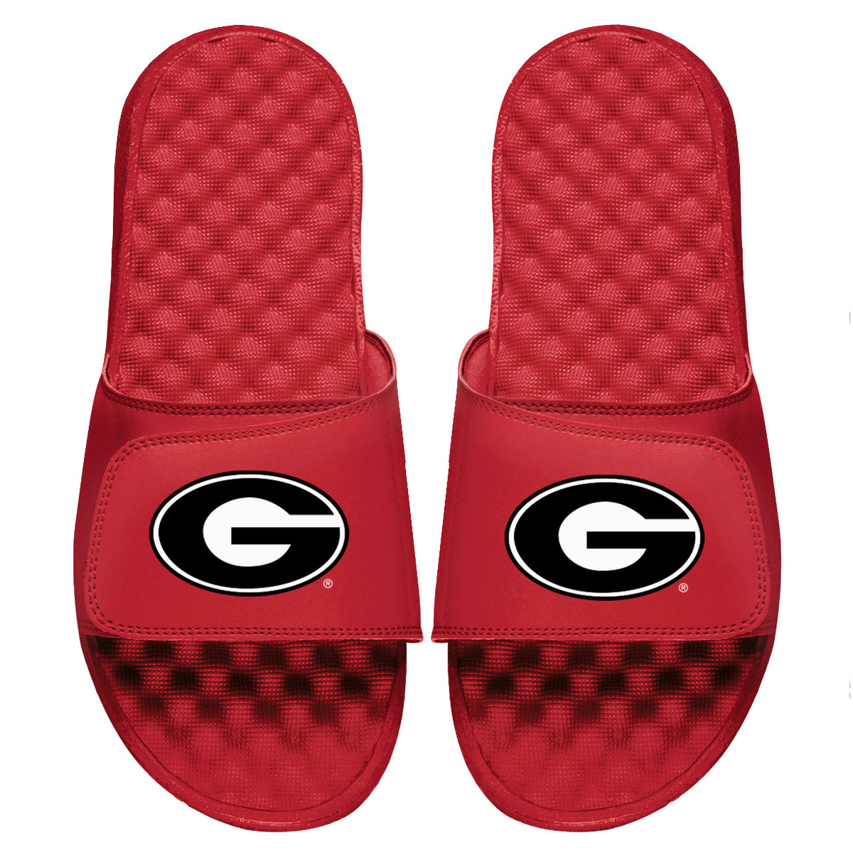 Georgia Primary Slides